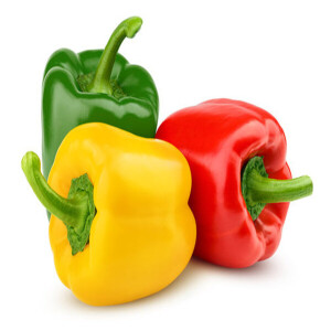 Capsicum