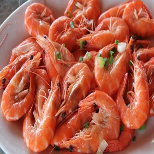 Prawn Fish