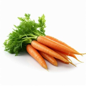 Carrot