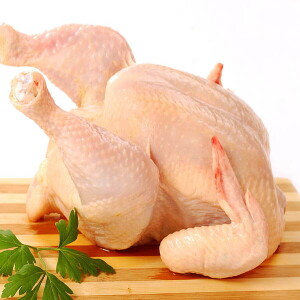 Chicken Meat