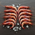 Prawn Fish