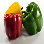 Capsicum